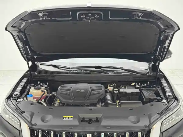 Hongqi HS5 2024