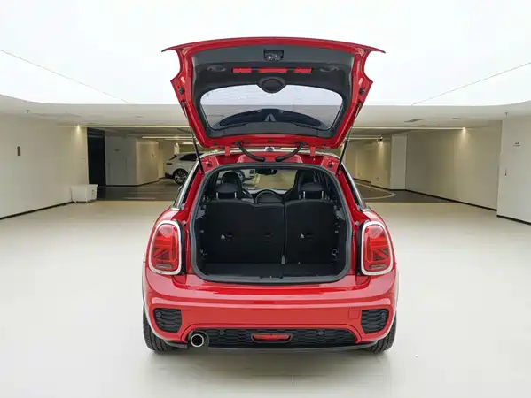MINI MINI 2020