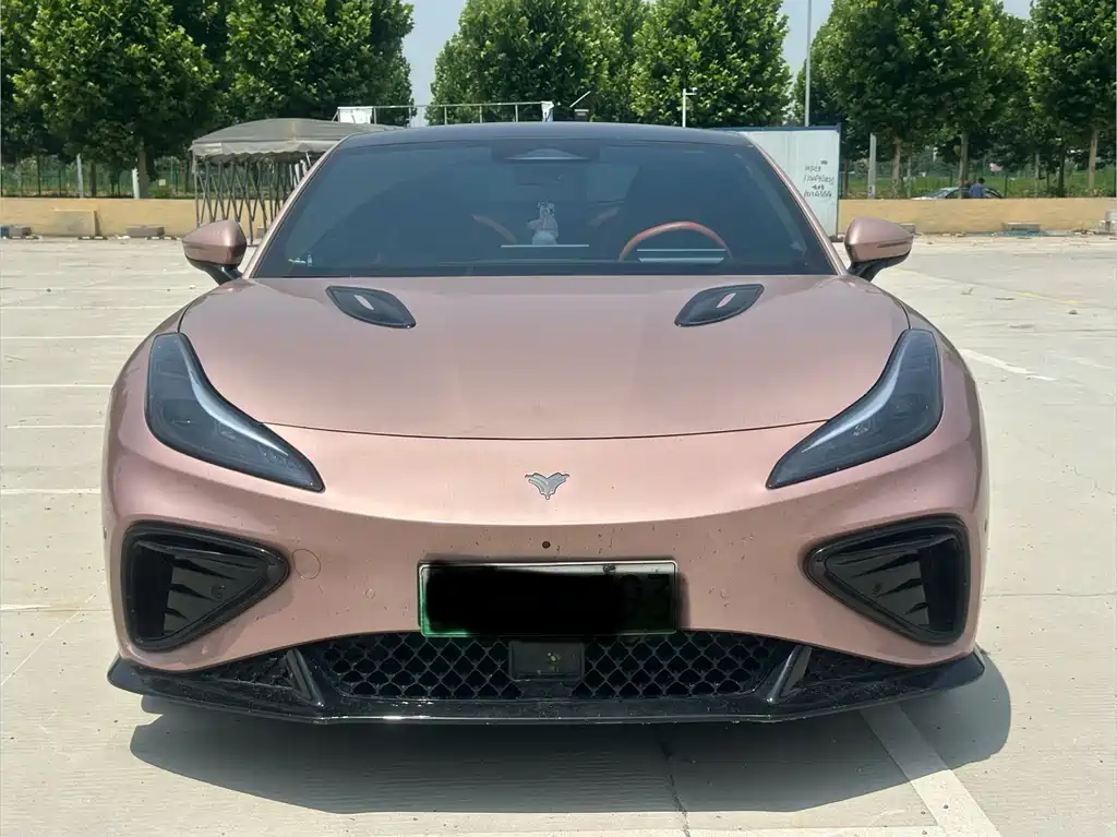 Neta GT 2024