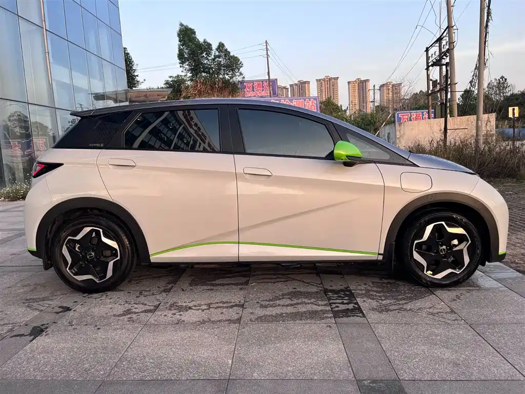 BYD Dolphin 2021