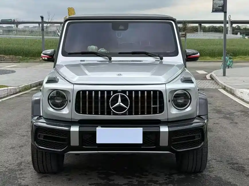 Mercedes-Benz G-Class 2019 — фото 1