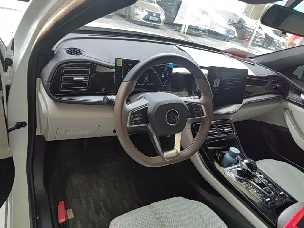 BYD Qin PLUS 2024 — фото 10
