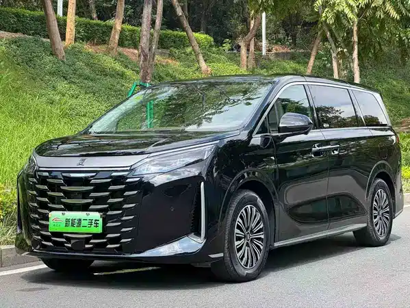 BYD Summer 2025