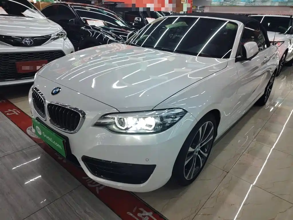 BMW 2 Series 2019