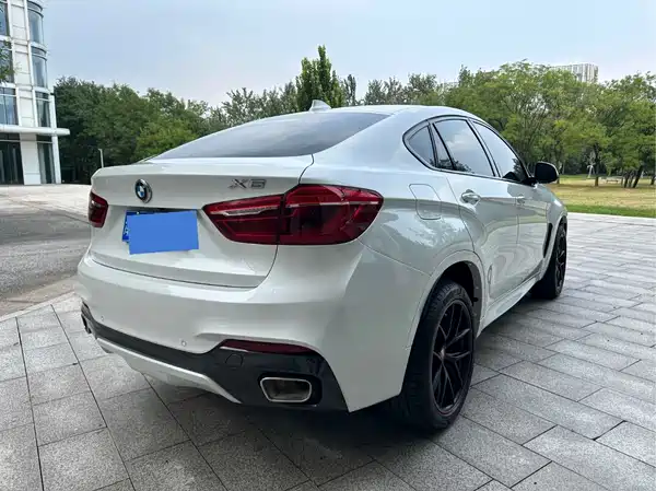 BMW X6 2019