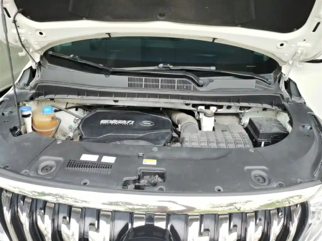 GAC Motor Trumpchi M8 2021 — фото 20