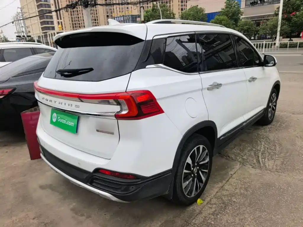 Dongfeng Fengxing T5 2019