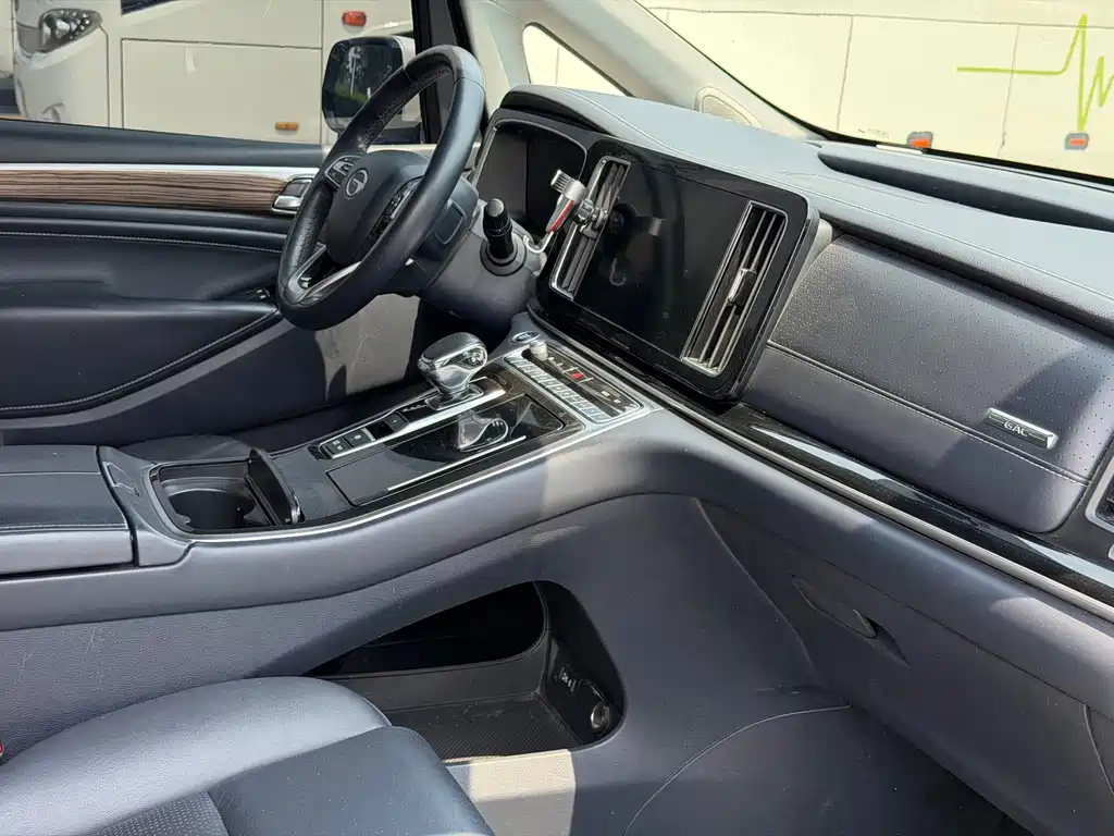 GAC Motor Trumpchi M8 2021 — фото 12