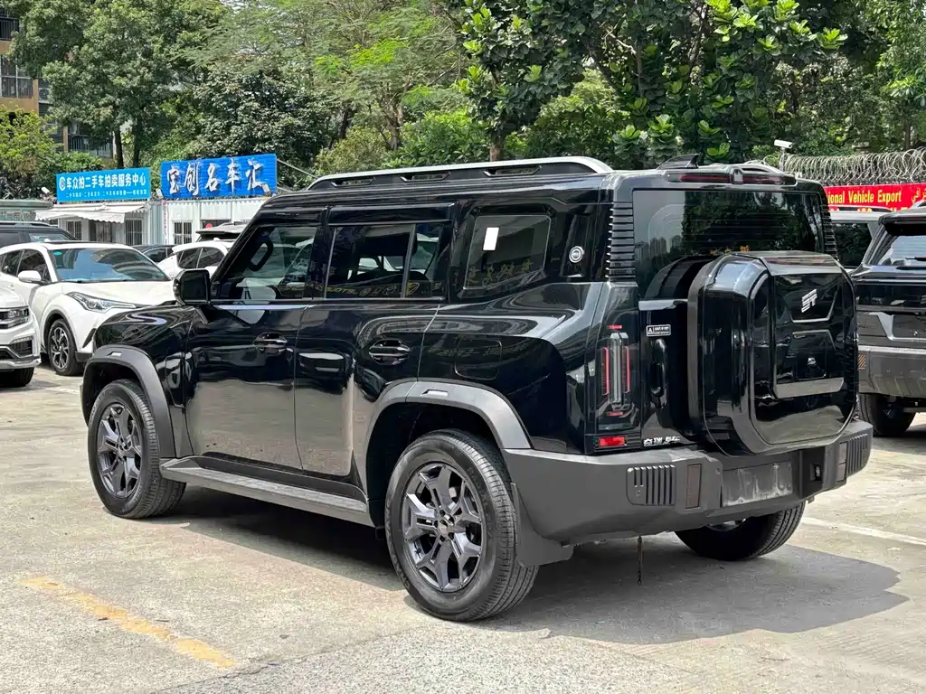 Shanhai Traveller C-DM 2024 — фото 4