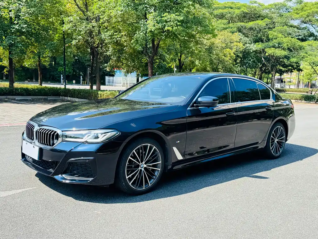 BMW 5 Series 2021