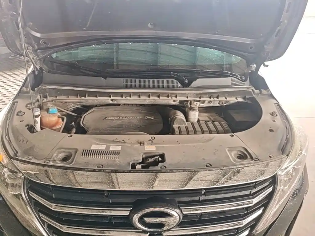 GAC Trumpchi M8 2021 — фото 20