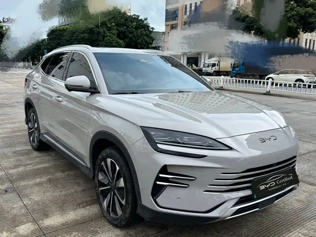 BYD PLUS New Energy 2024 — фото 3