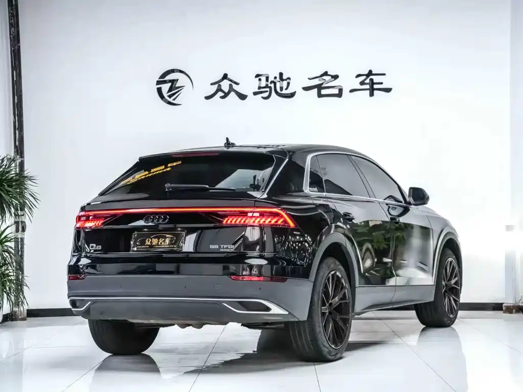 Audi Q8 2023 — фото 10