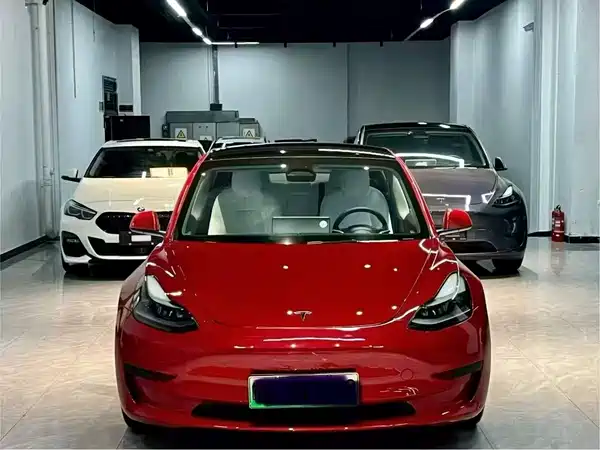 Tesla Model 3 2022