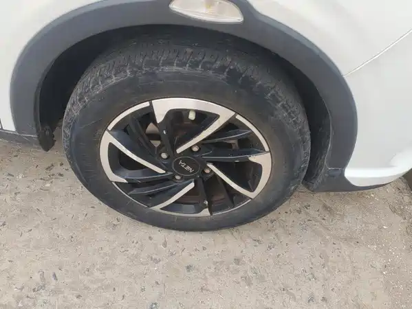 Neta V 2022