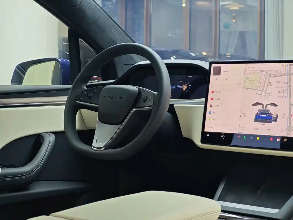Tesla Model X 2023 — фото 10