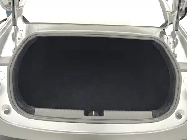 XPeng P7 2021