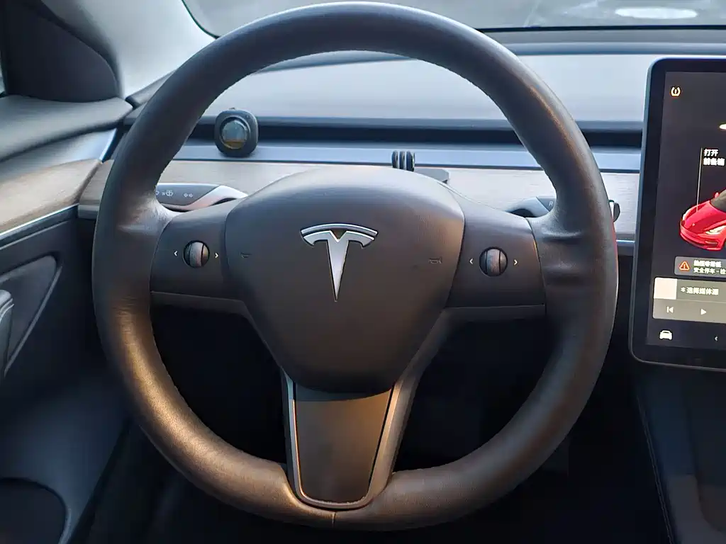 Tesla Model 3 2021 — фото 9
