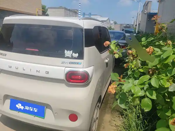 Wuling Hongguang MINIEV 2024