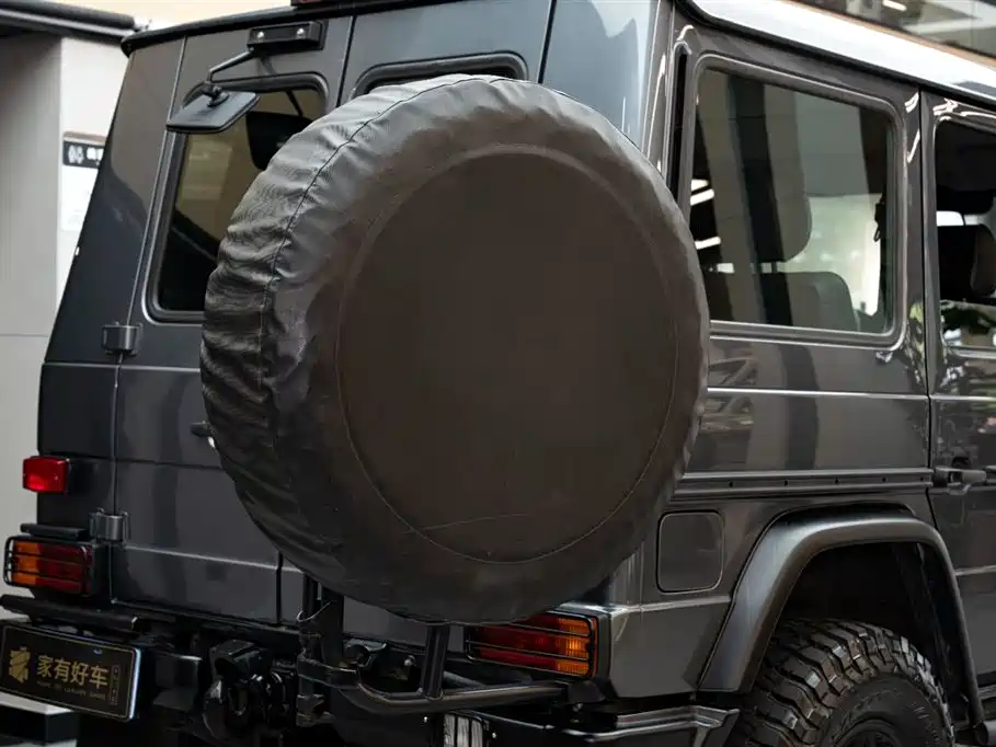 Mercedes-Benz G-Class 2010 — фото 22