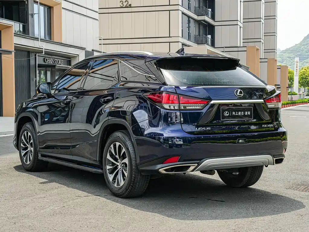 Lexus RX 2022 — фото 6