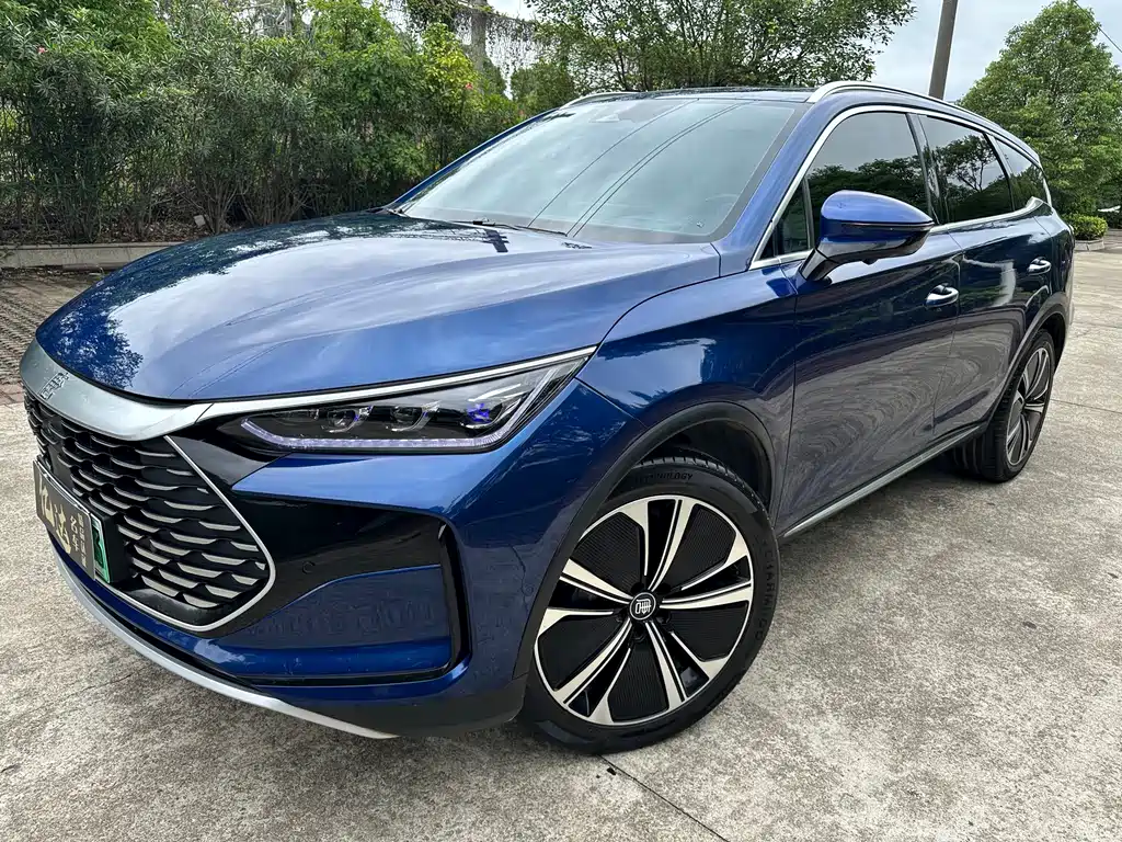 BYD Tang New Energy 2023 — фото 1