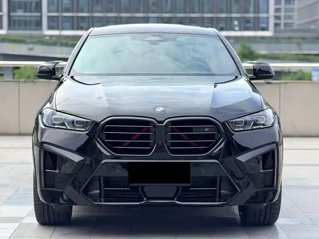 BMW X6 2023 — фото 2