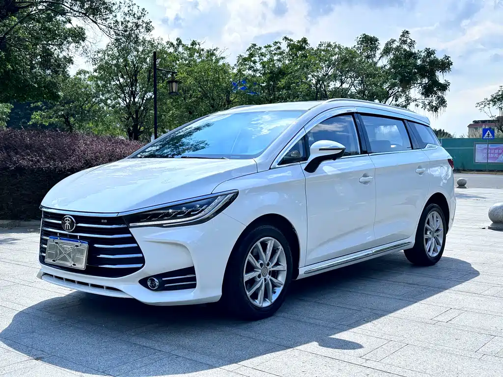 BYD MAX 2020