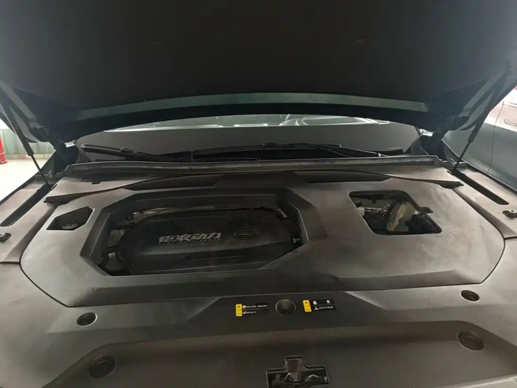 GAC Motor Trumpchi GS8 2021 — фото 16
