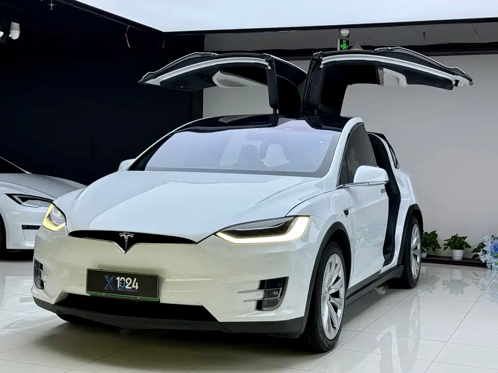 Tesla Model X 2019 — фото 1