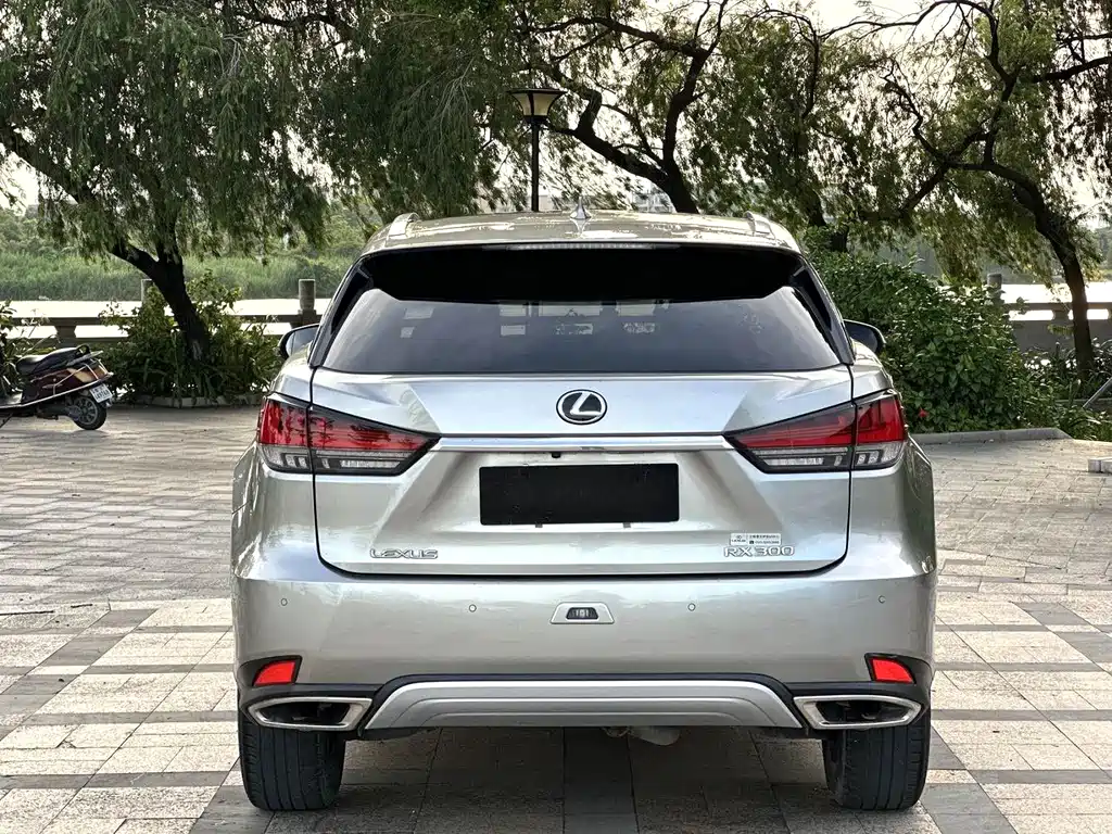 Lexus RX 2021 — фото 3
