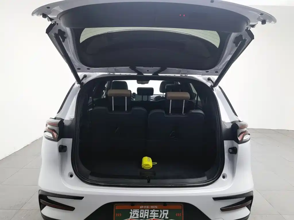 BYD Tang New Energy 2022 — фото 16