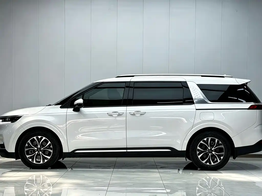 Kia Carnival 2023 — фото 4