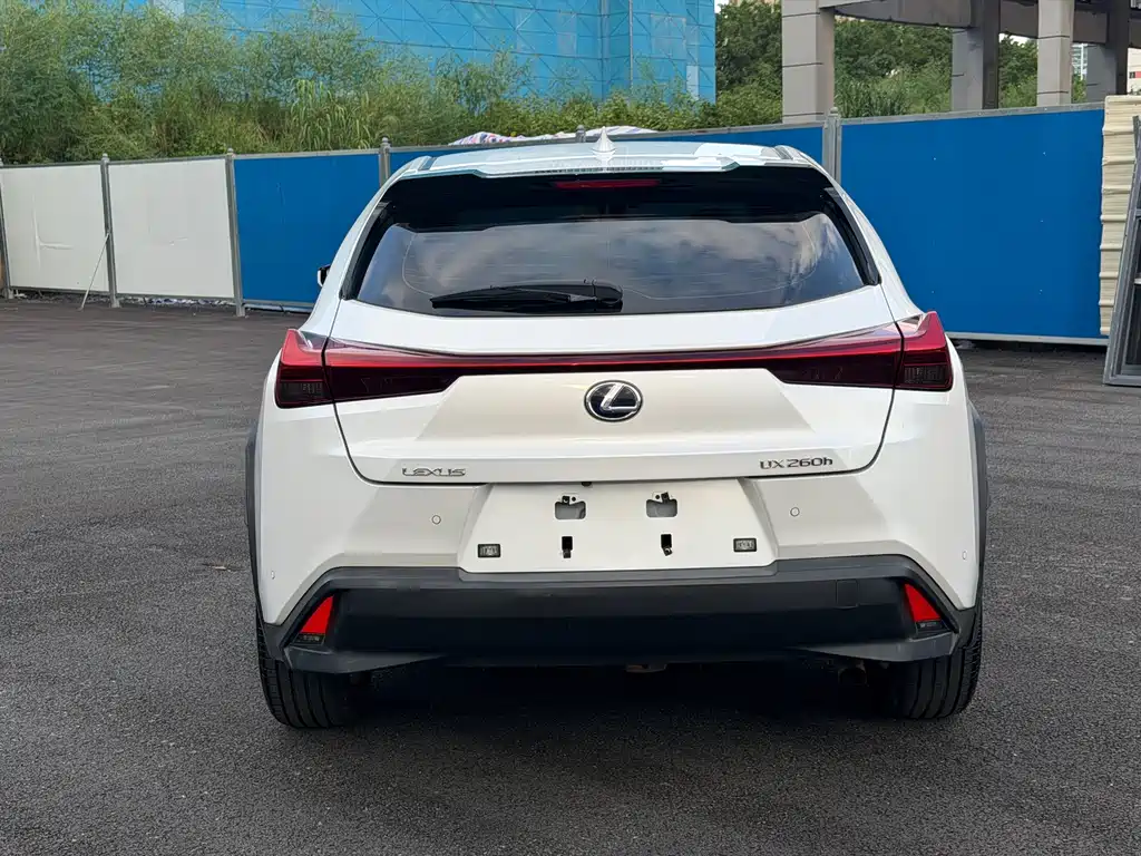 Lexus UX 2020 — фото 11