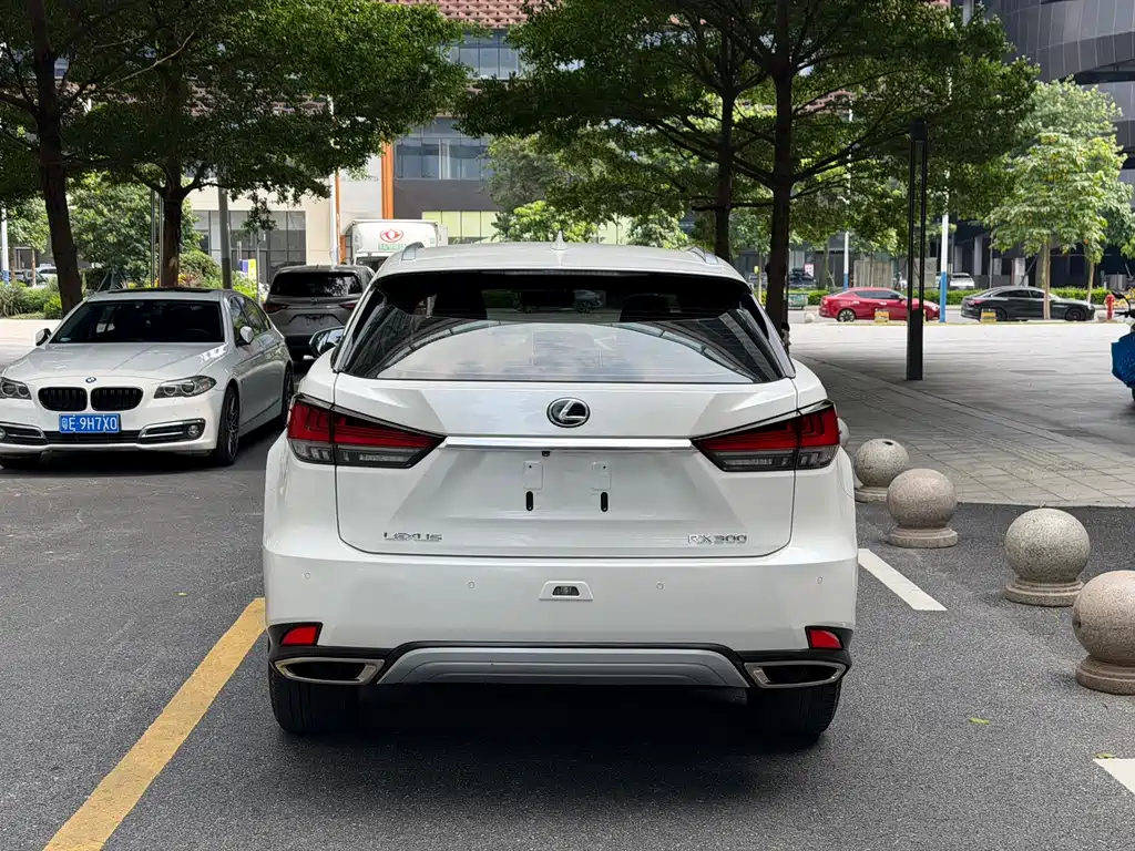 Lexus RX 2020 — фото 15