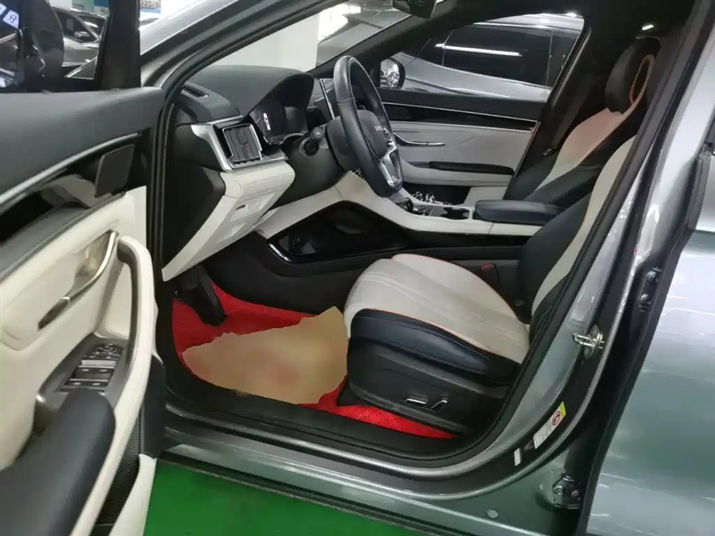 BYD PLUS New Energy 2024 — фото 16