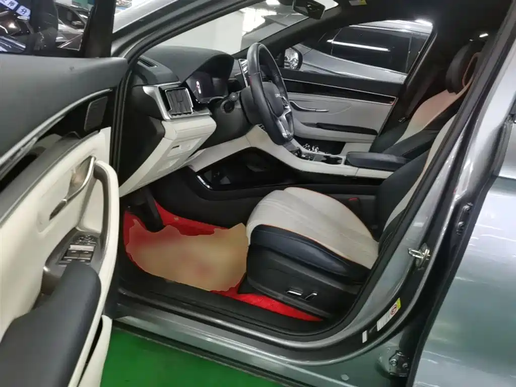 BYD PLUS New Energy 2024 — фото 15