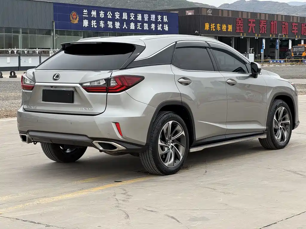 Lexus RX 2019 — фото 9