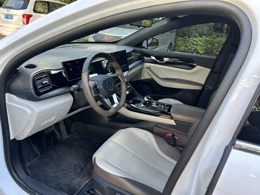 BYD Qin PLUS 2023 — фото 12