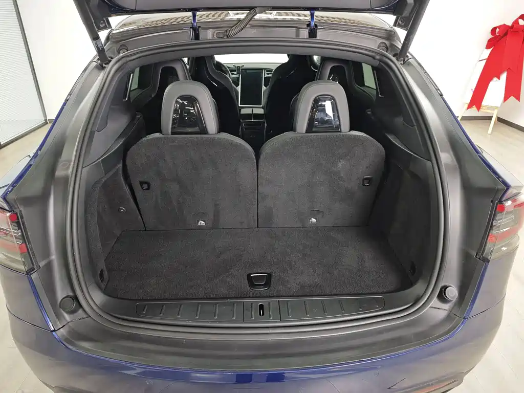 Tesla Model X 2017 — фото 8