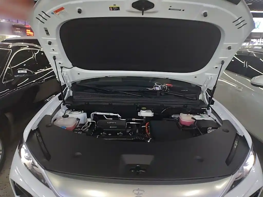 BYD Pro New Energy 2025 — фото 20