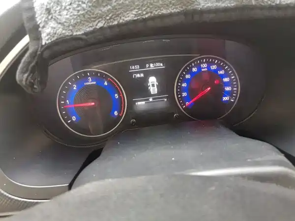 Dongfeng Ruiqi 2024