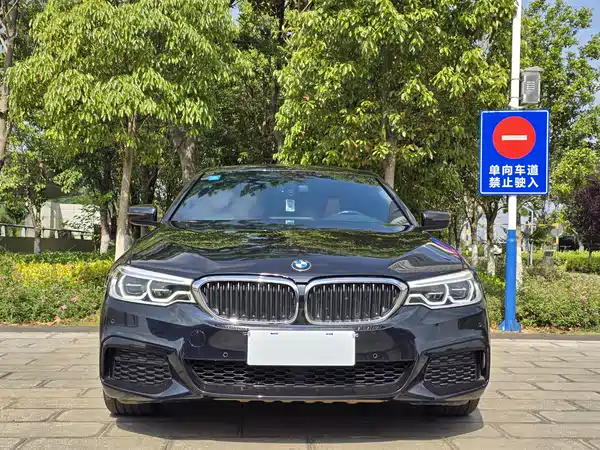 BMW 5 Series 2020