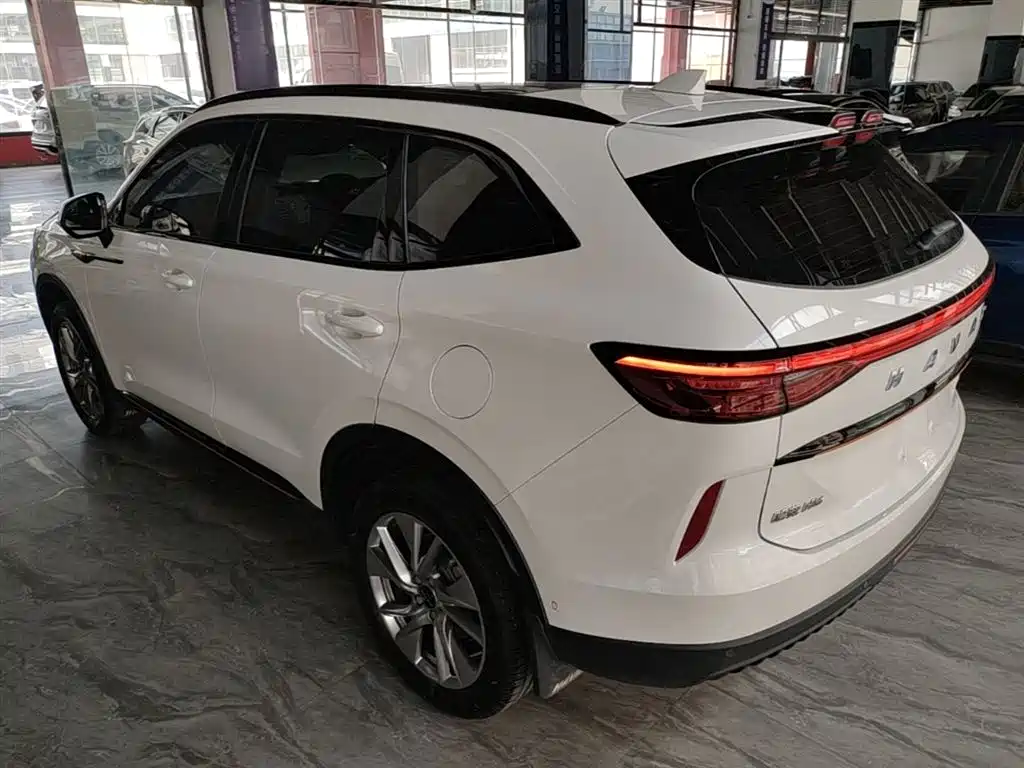 Haval H6 2021 — фото 5