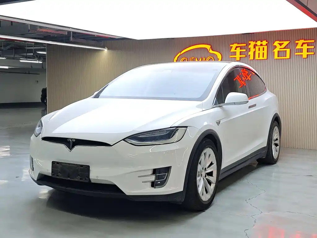 Tesla Model X 2017 — фото 2