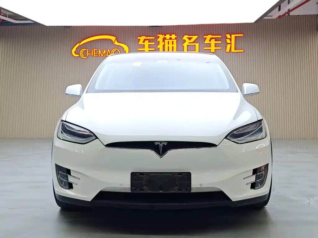 Tesla Model X 2017 — фото 3