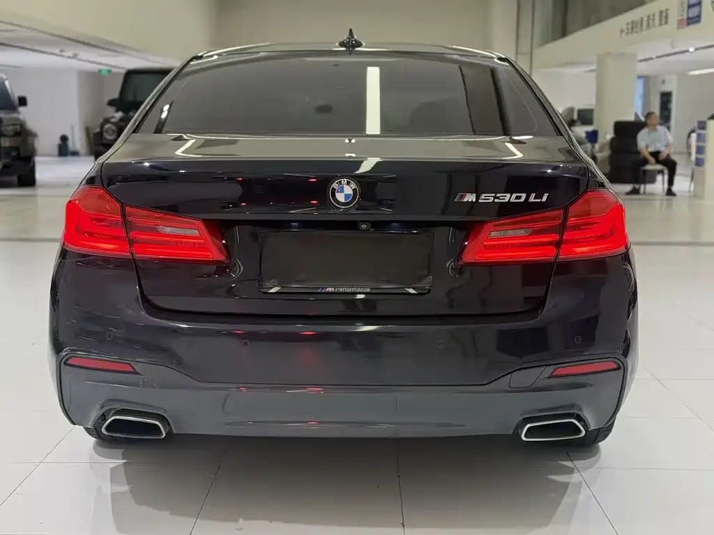 BMW 5 Series 2018 — фото 8