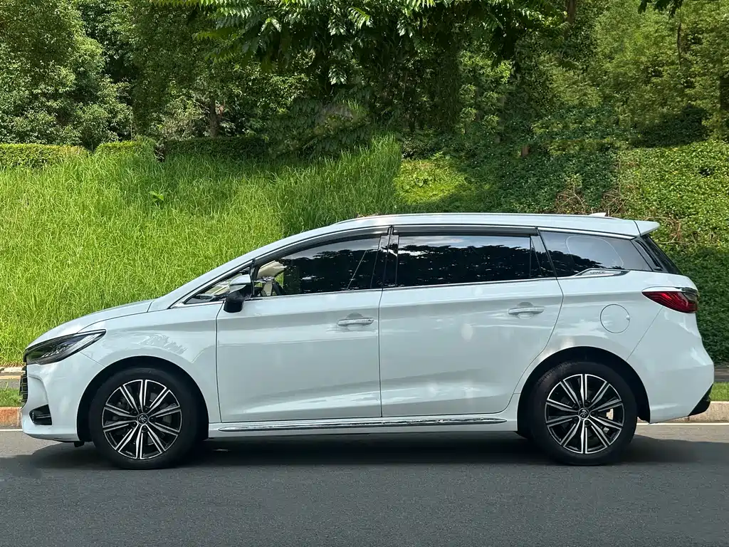 BYD MAX New Energy 2020 — фото 2