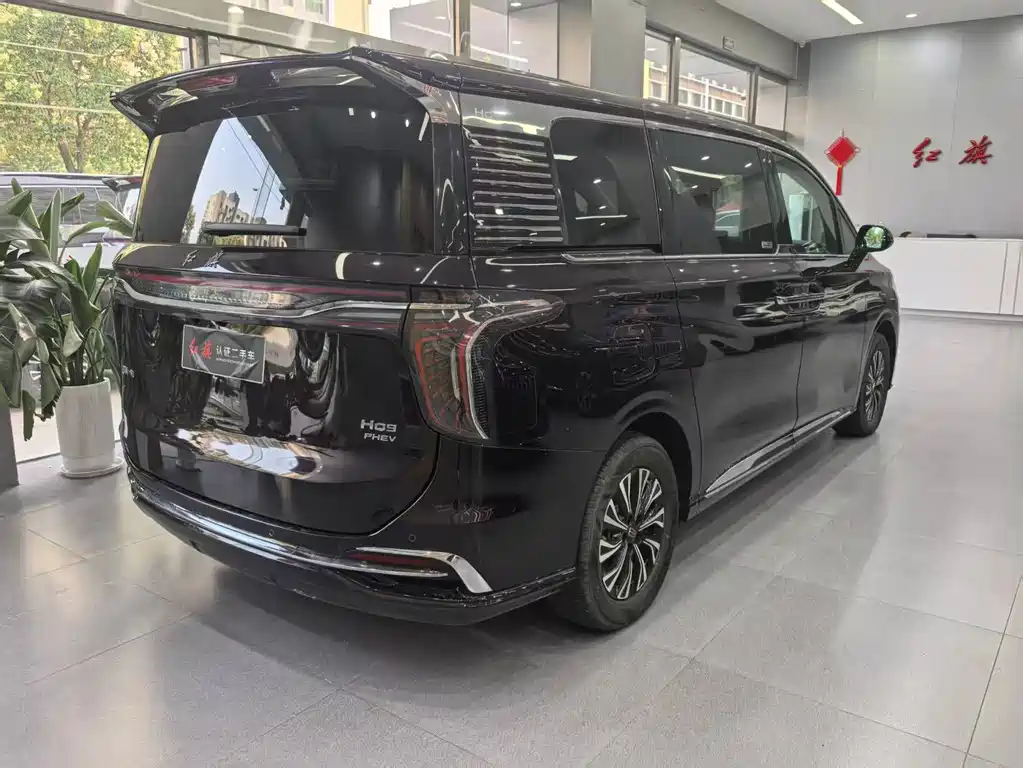 Hongqi HQ9 PHEV 2024 — фото 6