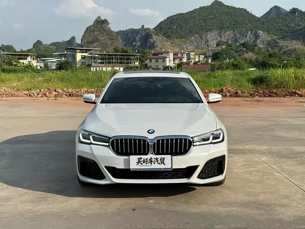 BMW 5 Series 2020